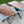 Standard Living Room 3 Piece Set